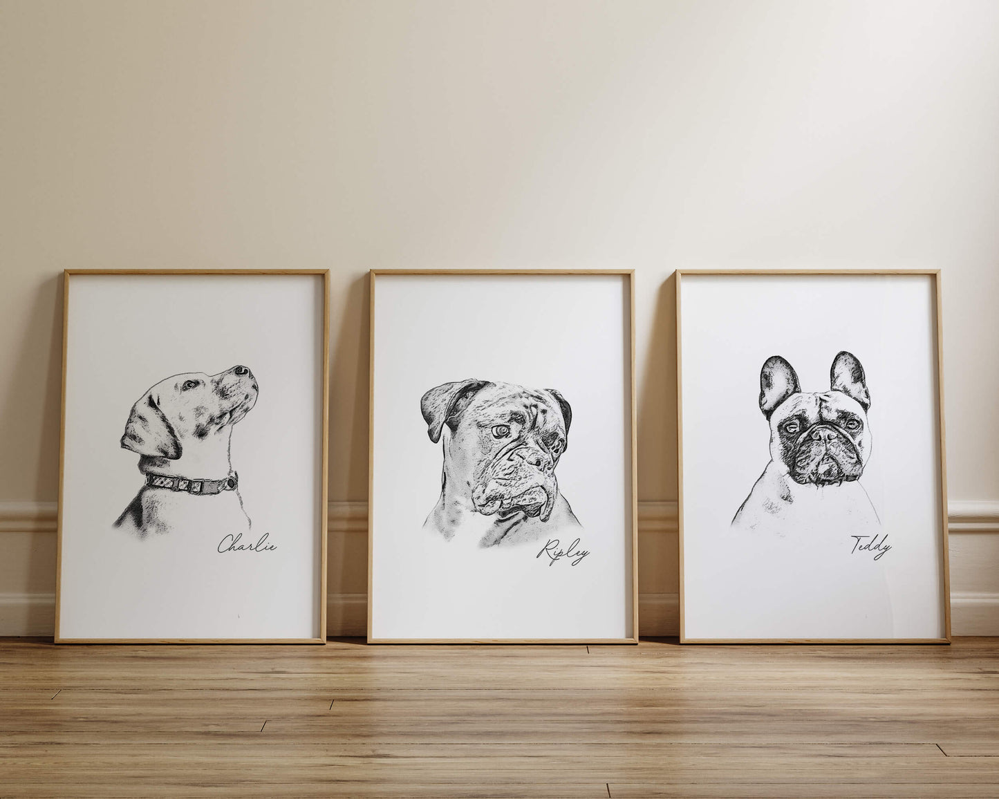 Pet Portrait