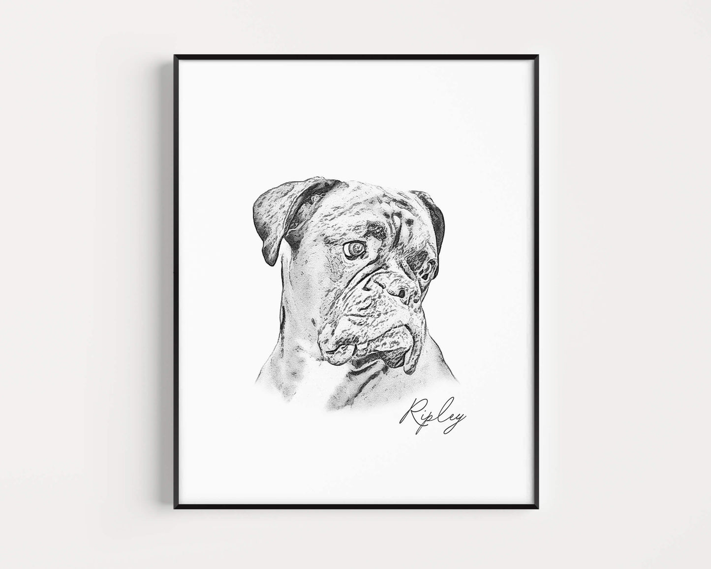 Pet Portrait