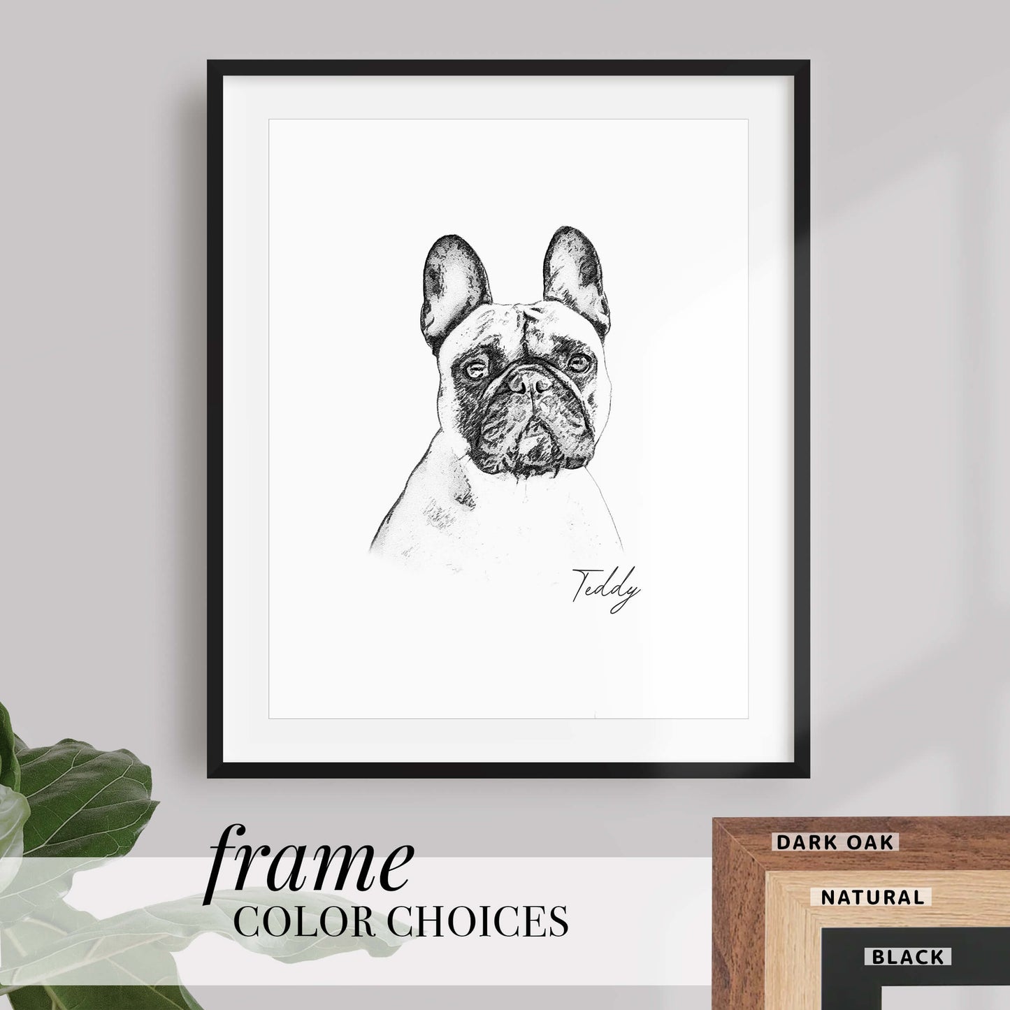 Pet Portrait