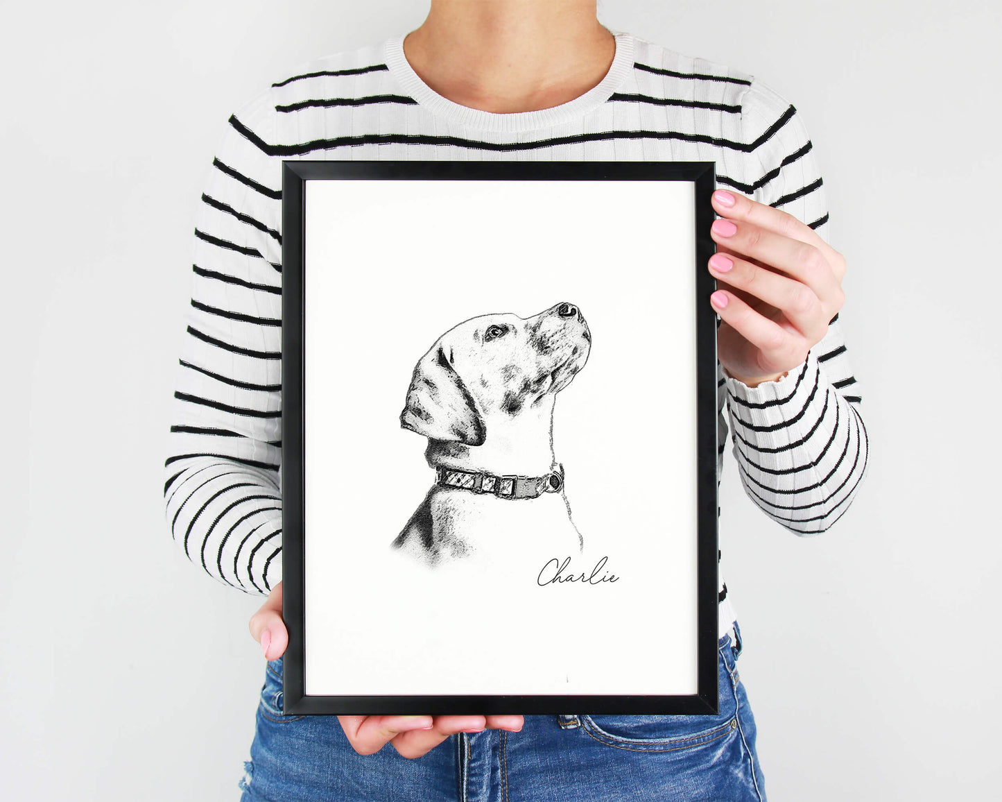Pet Portrait